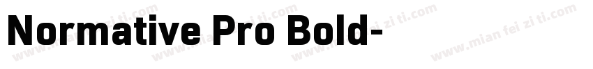 Normative Pro Bold字体转换